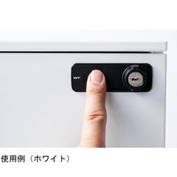 アズワン 指紋認証ロック式3段キャビネット ブラック 65-3968-82 1個（直送品）