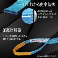 フリーク JISIIIスリングベルト E型1600kg 幅50mm×長さ4.5m 81043 1本（直送品）