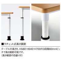 【軒先渡し】ニシキ工業 EHL 昇降テーブル 幅900×奥行900mm ホワイト AEHL-0909K-WH 1台（直送品）