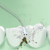 【口腔洗浄器】 充電式口腔洗浄器 ジェットウォッシャー 4種類ノズル付き IPX5防水 3段階水圧調整 1台（直送品）