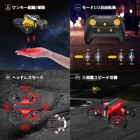 HOLY STONE ドローン 100g未満 ミニ 子ども向け 室内向け 対戦型 HS450ーB 1台（直送品）