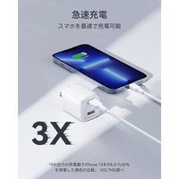 VOLTME 充電器 30W TypeC+15W TypeA ホワイト V2098 1点