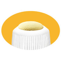 ヤマト アラビックヤマト色消えタイプ E-CNA-20 1本