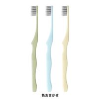 ラピス EcoDent ハブラシ レギュラー ふつう アースカラー 1本