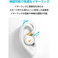 Anker Soundcore Sport X20 A3968Z21 1個