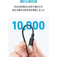 Anker 310 USBーC & ライトニング ケーブル 1.8m A81A2011 1本