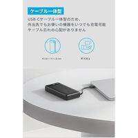 モバイルバッテリー Anker Power Bank(20000mAh、87W、USBーCケーブル) A1383N21 1個