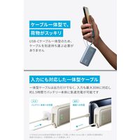 モバイルバッテリー Anker Nano Power Bank (30W、 USBーC Cable) A1259N21 1個