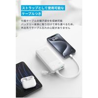 モバイルバッテリー Anker Power Bank (20000mAh、 30W) A1384N21 1個
