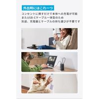 Anker Power Bank(30W、 Fusion、 USBーCケーブル) A1636N21 1個