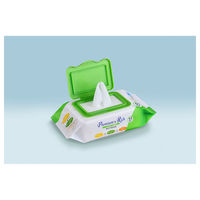 グローバル CARE LINKAGE プレミアム&リッチ ノンアルコール除菌ウェットティッシュ 55枚 4525678094848 1個