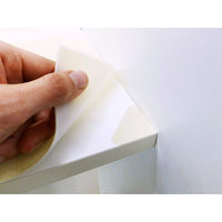 ワイズ 消臭くつ箱用シート 4933776478857 1個