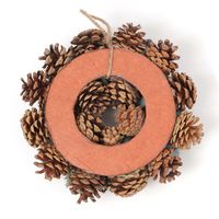 【LAKOLE/ラコレ】 ドライリース（23cm） ブルー