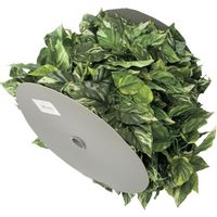 加藤伝蔵商店 伝蔵 チェーンガーランド ポトス 中 T070 1巻(55m) 364-1491（直送品）