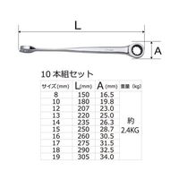 Apex Tool Group XLXーBEAMラチェットレンチ 10本セット RS-08016 1セット 63-4173-68（直送品）
