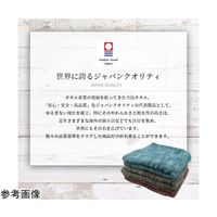 ブレイン 今治オーガニックコットンスヌード ターコイズ BR-051 1個 65-6903-16（直送品）