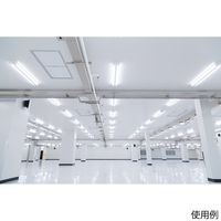 USHIO 露光室用 直管白色LEDランプ 専用電源付 ULED40T N/16/11/50-HQB 1本 68-0580-88（直送品）