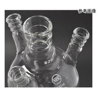 日本理化学器械 四頭フラスコ 側管角度15° 白 300mL 中管・側管29/42・15/25×3 042-29300 1個（直送品）