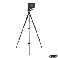 アズワン 赤外線サーモグラフィー 4-6423-01 1個（直送品）