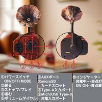 ケイブライト レトロFM・Bluetoothスピーカー FT-05U-WD 1台