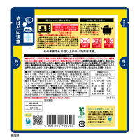 糖質0gぷるんちゃん麺 鶏塩 200g 1セット（1個×12） オーミケンシ