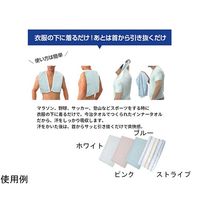 ブレイン 今治ブランド汗とりインナータオル ストライプ 5枚入 BR-613 1枚(5枚) 65-3656-60（直送品）