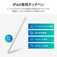 (簡易包装）iPad 充電式タッチペン ホワイト Type-C充電 傾き検知 パームリジェクション