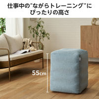 バランスボール 四角い 椅子 チェア 耐荷重120kg ライトブルー HCF-BBCUBE55BUL エレコムヘルスケア 1個