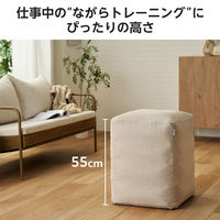 バランスボール 四角い 椅子 チェア 耐荷重120kg ベージュ HCF-BBCUBE55BE エレコムヘルスケア 1個