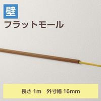 配線カバー 壁用 モール ( 長さ1m × 幅16mm ) フラット ブラウン LD-GAF1MBR エレコム 1個（直送品）