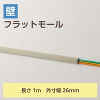 配線カバー 壁用 モール ( 長さ1m × 幅26mm ) フラット ベージュ LD-GAF3M エレコム 1個（直送品）