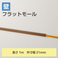 配線カバー 壁用 モール ( 長さ1m × 幅21mm ) フラット ブラウン LD-GAF2MBR エレコム 1個（直送品）