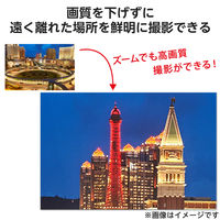 スマホ 望遠レンズ 16倍 ホルダークリップ式 レンズ 高画質 望遠鏡 ブラック P-SLZ16XBK エレコム 1個