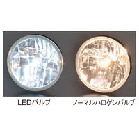 パーマンコーポレーション フォグランプ球 DC12~24V H3 LED 色温度6000K 1ヶ入 1165600000 1個（直送品）