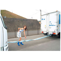 パーマンコーポレーション けん引ゴムロープ 伸縮式 10ton 中型トラック用 3221400000 1個（直送品）