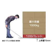 パーマンコーポレーション パレットローダー フラット両端起こし ステンレス 1ton 日本製 5119800000 1個（直送品）