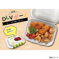 エフピコ 軽食容器 DLVボーノ19-15 渋木目W 4002074A 1ケース(270個(30個×9)（直送品）