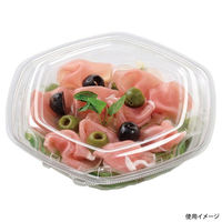 エフピコ サラダ容器 APヘキサ 19-18(55) 本体 エコ 7R001918 1ケース(400個(50個×8)（直送品）