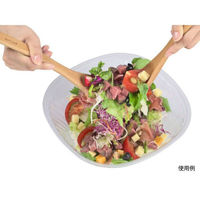 エフピコ 冷麺容器 AP-B&H28-28(97)本体 7R004550 1袋(30個)（直送品）