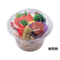 エフピコ フルーツ容器 APフルーツ20 本体 7R010120 1ケース(800個(50個×16)（直送品）