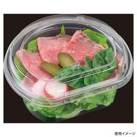 エフピコ サラダ容器 APララ 14-12(55) 本体 エコ 7R010503 1ケース(600個(50個×12)（直送品）