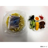 エフピコ 冷麺容器 APクレア 19(46) 本体 7R009190 1ケース(600個(100個×6)（直送品）