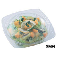 エフピコ 冷麺容器 APデリ-150-300 本体 7R031253 1袋(50個)（直送品）