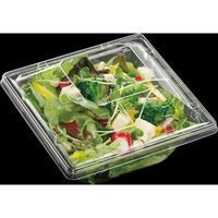 エフピコ サラダ容器 APモダン15-15(55)本体 エコ 7R172155 1ケース(900個(50個×18)（直送品）