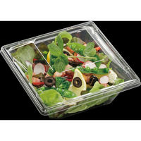 エフピコ サラダ容器 APモダン17-17(60)本体 エコ 7R172176 1ケース(600個(50個×12)（直送品）