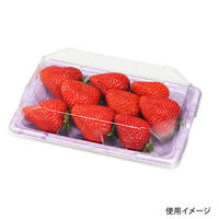 エフピコチューパ STR-平 嵌合蓋.8H CP003847 1ケース(600個(50個×12)（直送品）