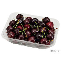 エフピコチューパ フルーツ容器 VF-X1813 AP 透明 CP003982 1ケース(1200個(100個×12)（直送品）