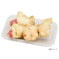 エフピコチューパ フルーツ容器 VF-X1510 AP 透明 CP003980 1ケース(2400個(100個×24)（直送品）