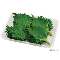 エフピコチューパ フルーツ容器 VF-X2015 AP 透明 CP003985 1ケース(800個(100個×8)（直送品）