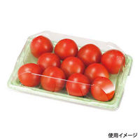 エフピコチューパ フルーツ容器 PSTR250平 くもはだグリーン CP003878 1ケース(1000個(100個×10)（直送品）